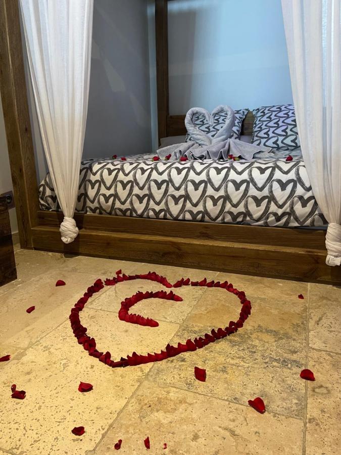 L'Excellence Avignon - Suite Luxe Sauna, Hammam & Jaccuzzi エクステリア 写真